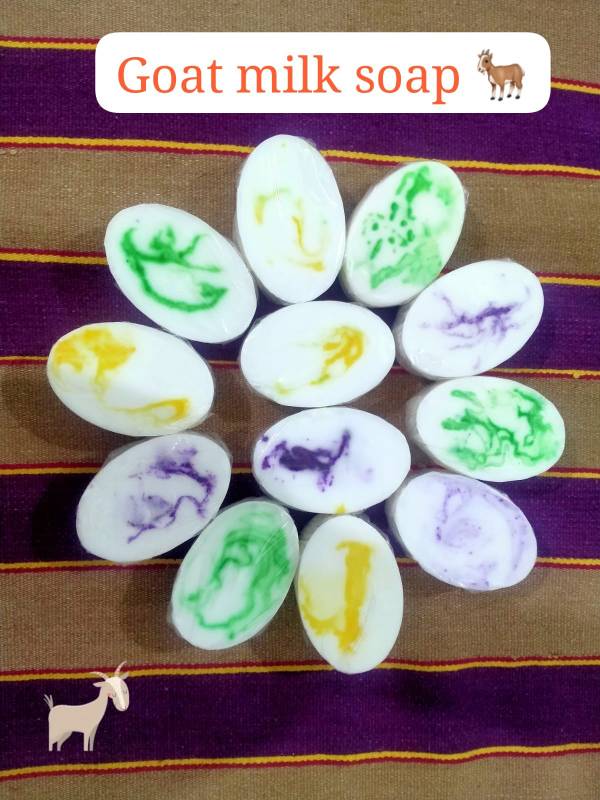 Goat Milk Herbal Soap